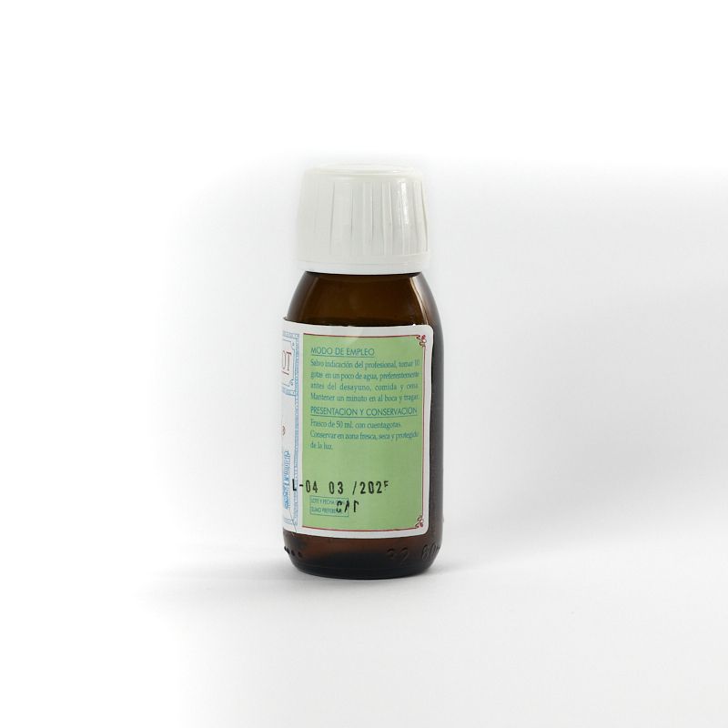 Paracelsia 26 Volugot - Imagen 2